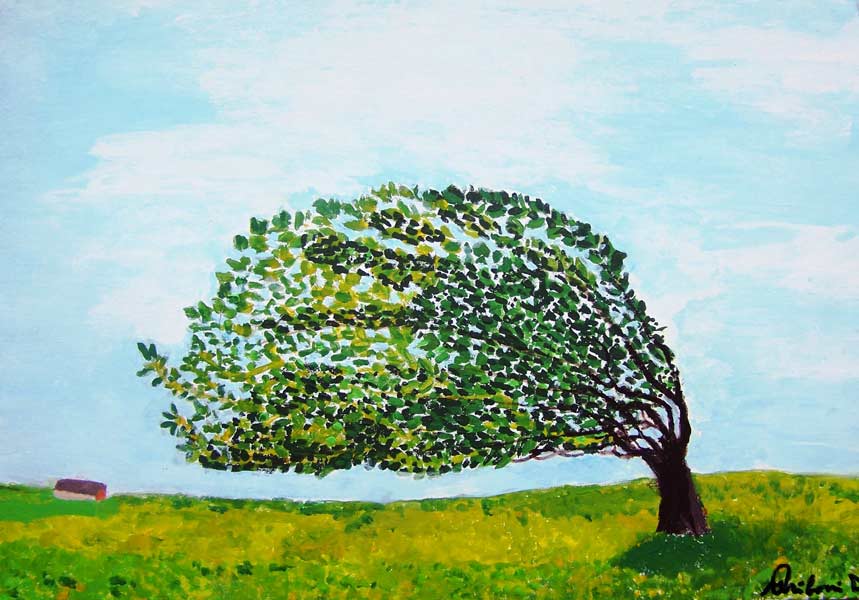 Alberi e nature morte