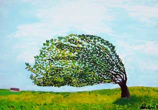 Alberi e nature morte